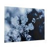 101875-602.jpg Closeup on Textured Frost Poster