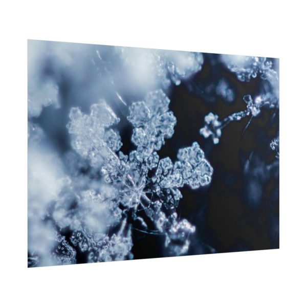 101875-602.jpg Closeup on Textured Frost Poster