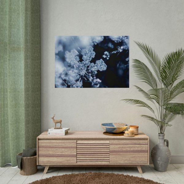 101875-603.jpg Closeup on Textured Frost Poster
