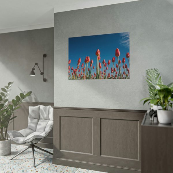 101875-624.jpg A Low-Angle Shot of a Field of Red Tulips Poster