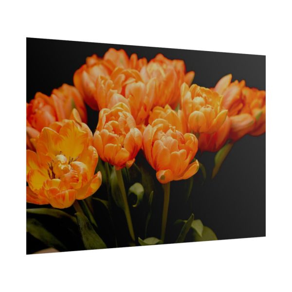 A Bouquet of Bright Orange Tulips Poster