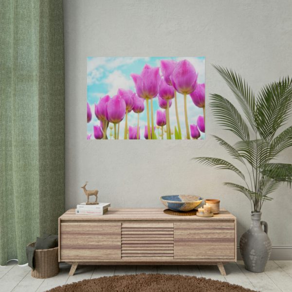 101875-698.jpg Pink Tulip Poster