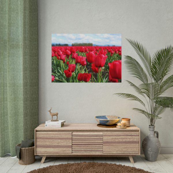 101875-703.jpg Red Tulip Field Poster