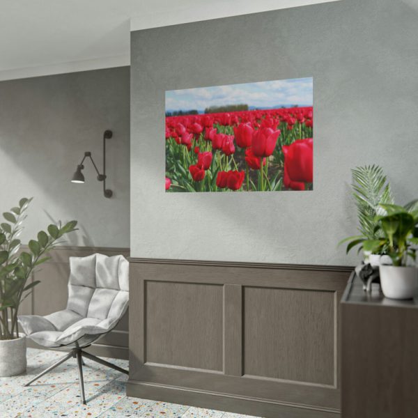 101875-704.jpg Red Tulip Field Poster