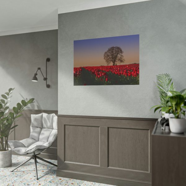 101875-709.jpg Tulips Field Poster