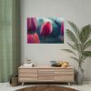 Blooming Pink Tulips in the Evening Light Poster