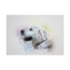 101875-759.jpg Retriever Watercolor Paint Poster