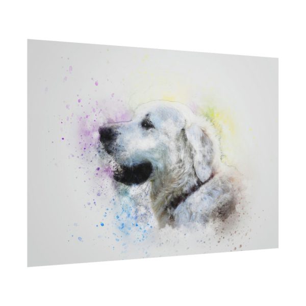 101875-761.jpg Retriever Watercolor Paint Poster