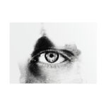 Eye Black and White Poster - Image 9