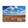 Agriculture Harvest Corn Poster