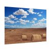 Agriculture Harvest Corn Poster