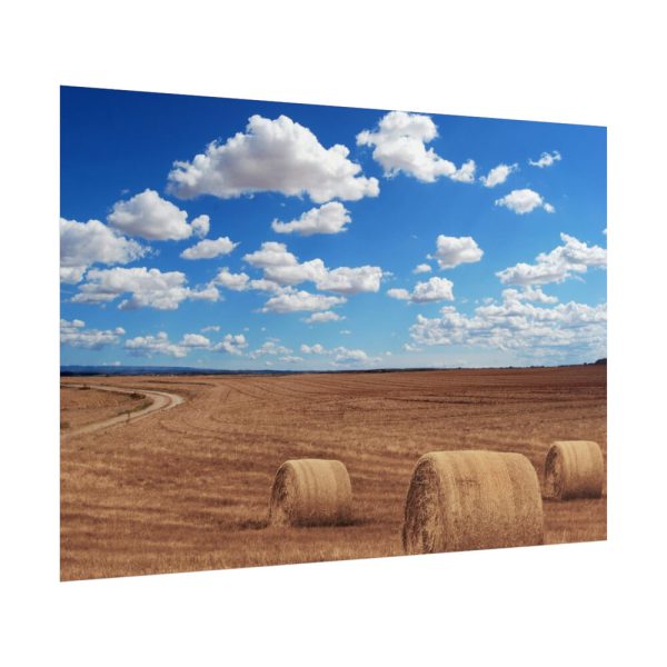 Agriculture Harvest Corn Poster
