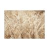 101875-779.jpg Wheat Crops Poster