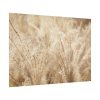 101875-781.jpg Wheat Crops Poster