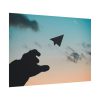 101875-801.jpg Paper Plane in Sky Poster