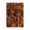 101894-155.jpg Anise Spices Seeds Poster