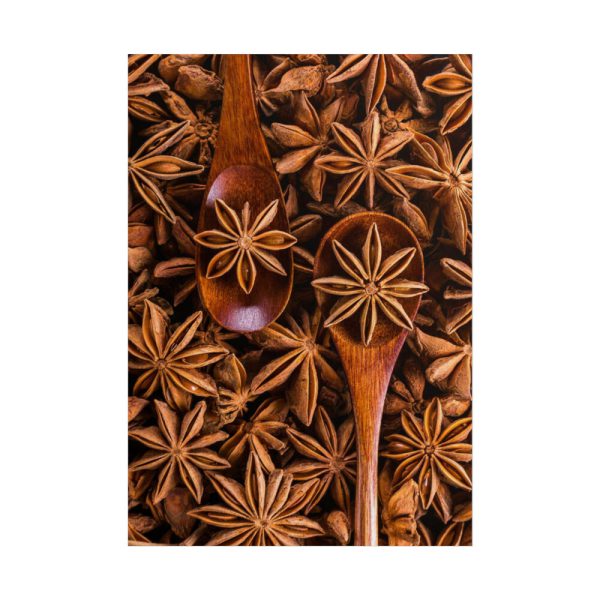 101894-155.jpg Anise Spices Seeds Poster