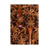101894-156.jpg Anise Spices Seeds Poster
