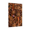 101894-157.jpg Anise Spices Seeds Poster