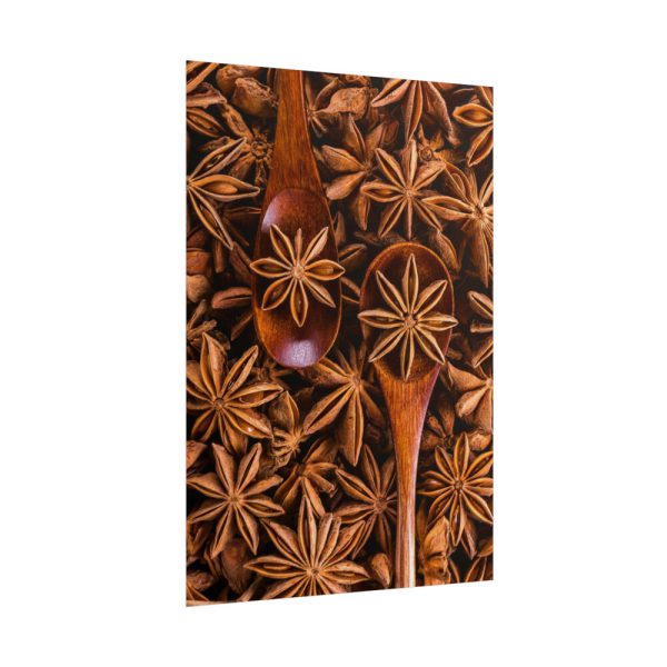 101894-157.jpg Anise Spices Seeds Poster