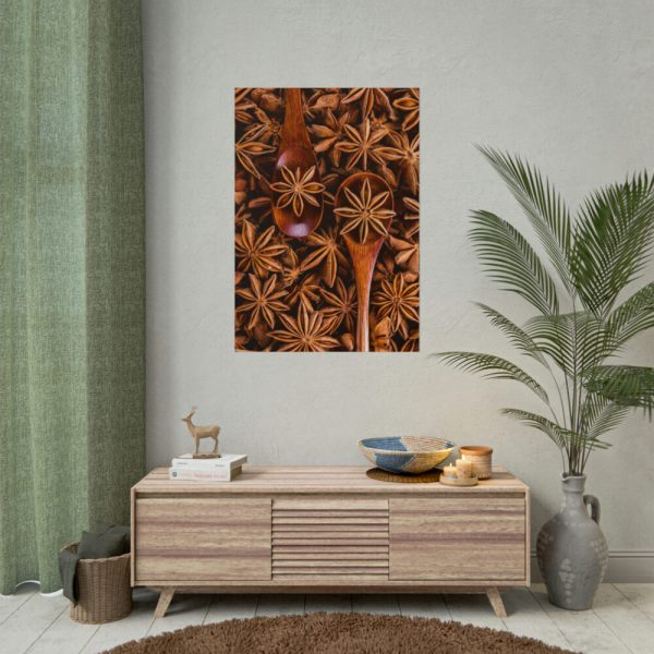 101894-158.jpg Anise Spices Seeds Poster