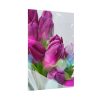 101894-237.jpg Purple Tulip Poster