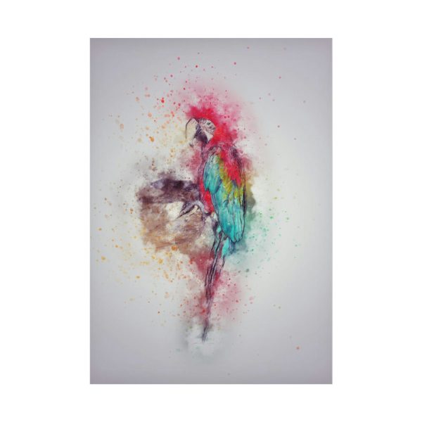 101894-295.jpg Parrot and Colors Poster