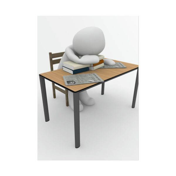 101894-30.jpg Little Slep at Work Poster