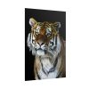 101894-72.jpg Cute Siberian Tiger Poster