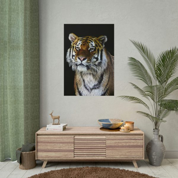 101894-73.jpg Cute Siberian Tiger Poster