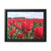 88280-5.jpg Red Tulip Field Framed Canvas