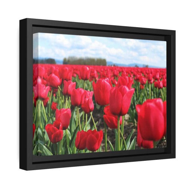 88280-6.jpg Red Tulip Field Framed Canvas