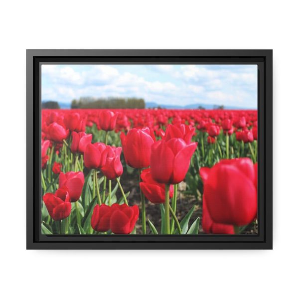 88281-5.jpg Red Tulip Field Framed Canvas