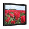 88281-6.jpg Red Tulip Field Framed Canvas