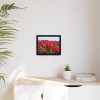 88281-8.jpg Red Tulip Field Framed Canvas