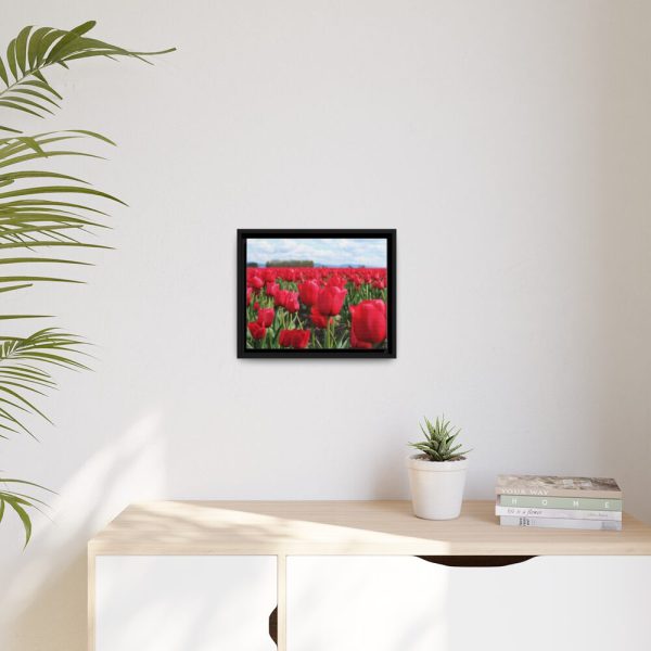 88281-8.jpg Red Tulip Field Framed Canvas