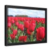 88282-6.jpg Red Tulip Field Framed Canvas