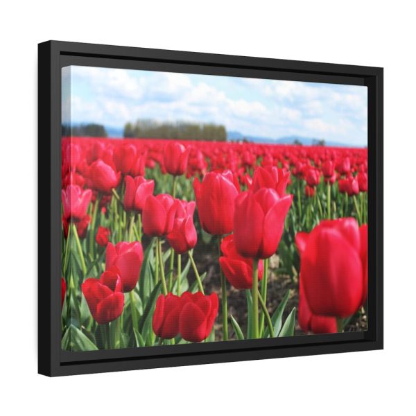 88282-6.jpg Red Tulip Field Framed Canvas