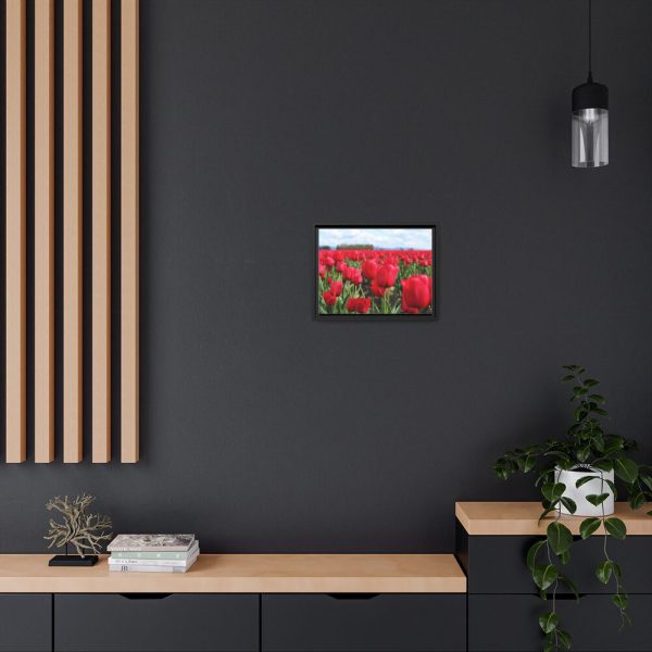 88282-9.jpg Red Tulip Field Framed Canvas