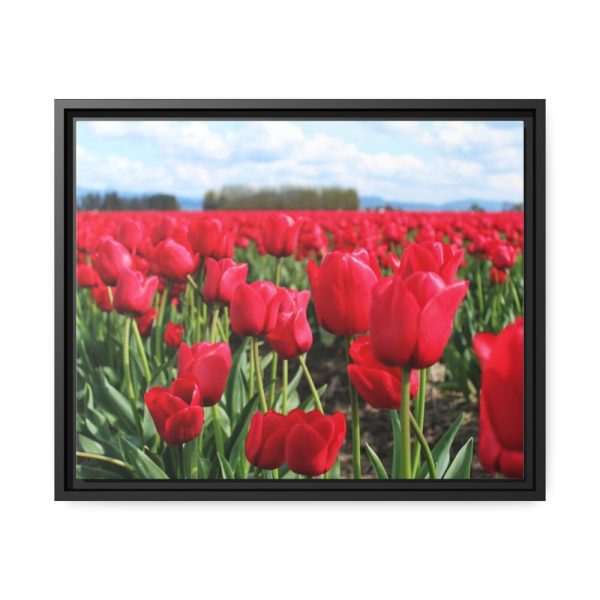 88283-5.jpg Red Tulip Field Framed Canvas