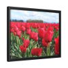 88283-6.jpg Red Tulip Field Framed Canvas