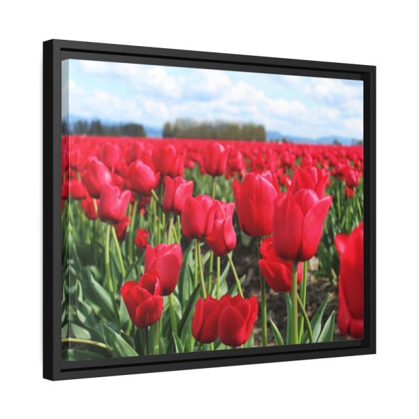88283-6.jpg Red Tulip Field Framed Canvas
