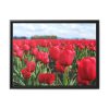 88284-5.jpg Red Tulip Field Framed Canvas