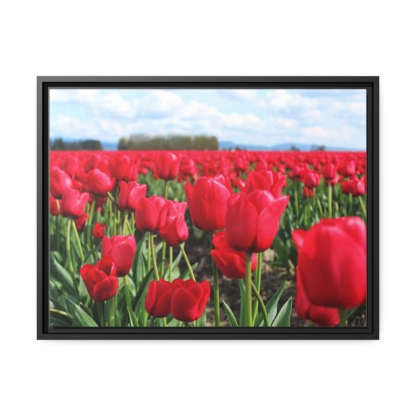 88284-5.jpg Red Tulip Field Framed Canvas