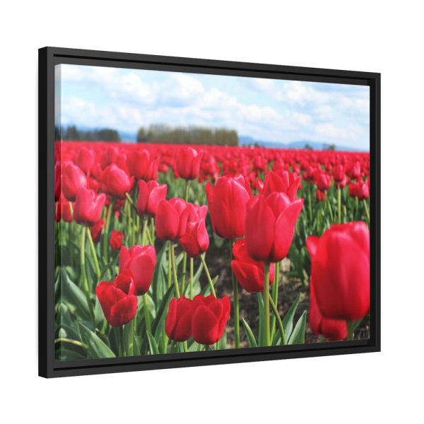 88284-6.jpg Red Tulip Field Framed Canvas