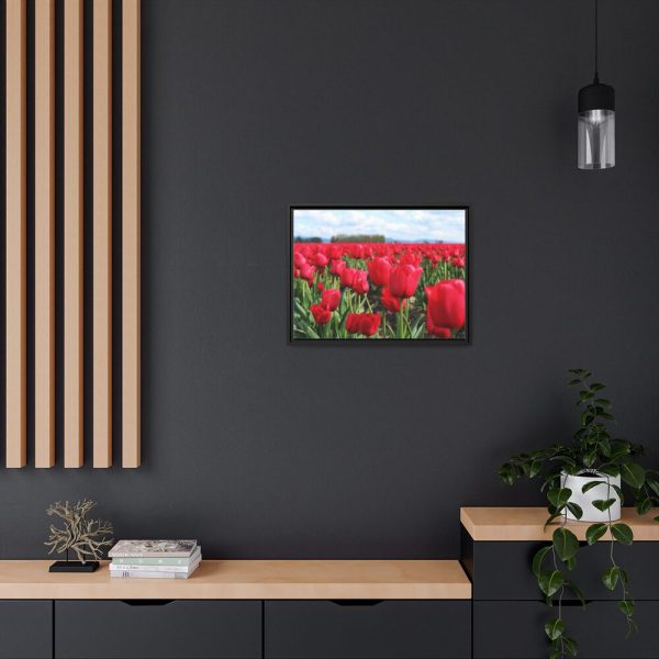 88284-9.jpg Red Tulip Field Framed Canvas