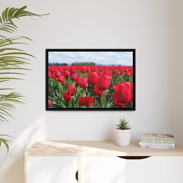 88285-8.jpg Red Tulip Field Framed Canvas