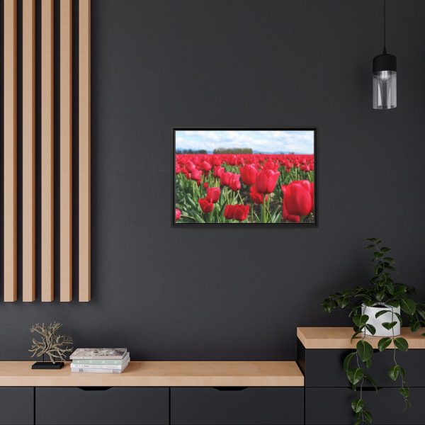 88285-9.jpg Red Tulip Field Framed Canvas