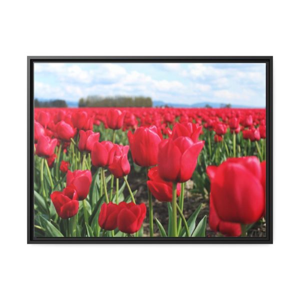 88286-5.jpg Red Tulip Field Framed Canvas