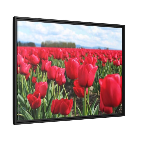 88286-6.jpg Red Tulip Field Framed Canvas